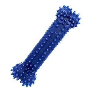 Nylabone Jouet dentaire à mâcher moyen, forme d’os, arôme poulet, pour les chiens de très petite taille (jusqu’à 7kg), mâchouilleurs modérés/paisibles