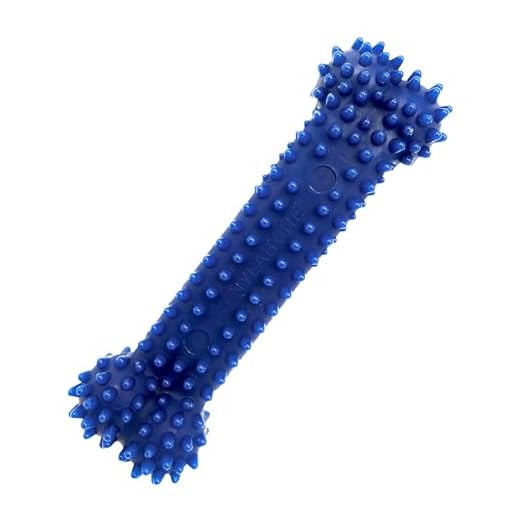 Nylabone Jouet dentaire à mâcher moyen, forme d’os, arôme poulet, pour les chiens de très petite taille (jusqu’à 7kg), mâchouilleurs modérés/paisibles