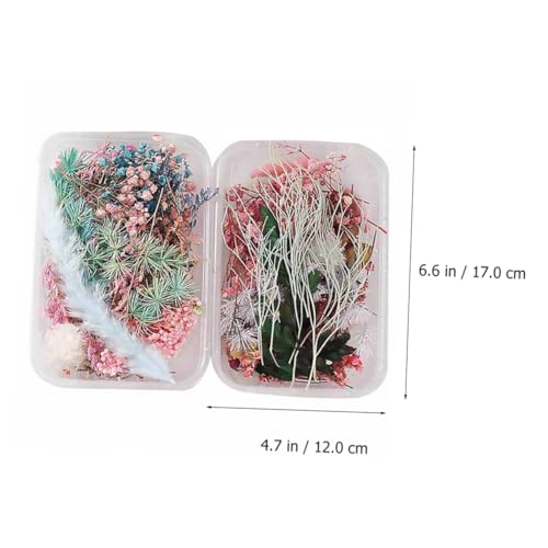IMIKEYA Decoração De Unhas 2 Caixas Flores Secas De Aromaterapia Flor Seca Natural Decorações De Flo