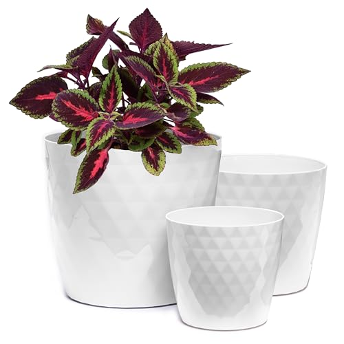 Home Garden Ornaments Maceta Blanco Juego de 3 Tamaños 14/16/18 cm - Macetas Plastico con Superficie de Cristal Brillante - Maceteros Exterior - Decorativa Macetero Interior (Blanco)