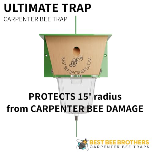 Best Bee Brothers Ultimate Carpenter Bee Trap for Outside with Large, Clear External Bee Vault & Spring-Loaded Door, 5.75\" L x 6\" W x 4.5\" H