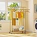 HYSEYY Double Rods Clothes Rack, Sturdy Rolling Clothing Rack, Portable Clothing Racks for Hanging Clothes - Metal Garment Rack Wardrobe Coat Rack for Bedroom Laundry Living Room, Gold