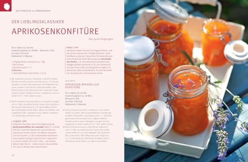 Homemade! Das Goldene von GU: Rezepte zum Einmachen und Selbermachen (GU Die goldene Reihe)