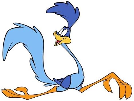 The Road Runner - Sticker Graphic - Auto, Wall, Laptop, Cell, Truck Sticker for Windows, Cars, Trucks
