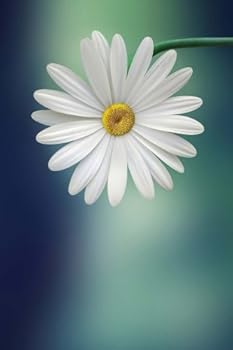 Daisy Notebook : Daisy Journal (Composition Book, Gardening Journal, Log Book, Diary, Creative Writing, Poetry) (6 X 9 Medium, Ruled)