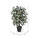 Vickerman 4-Feet Artificial Capensia Bush in Decorative Rattan Basket