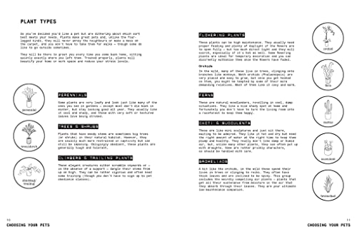 Grow Your Own Pet Plants: A Cute Guide to Choosing and Caring for Your Leafy Friends - Image 4