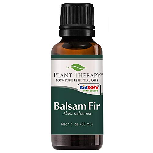 Plant Therapy Balsam Fir Essential Oil 30 mL (1 oz) 100% Pure, Undiluted, Therapeutic Grade