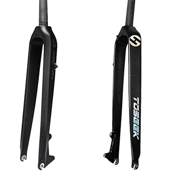 スペシャライズ　ディスクブレーキ　フルカーボンフォーク Amazon.co.jp: TOSEEK正規品 カーボンマウンテンバイクフォーク