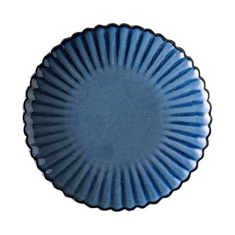 MDZF SWEET HOME 8 Inch Dinner Plates, Set of 2 Porcelain Plates, Pasta Plate, Steak Plate, Dessert Plate, 20.5 cm (Blue) Cover