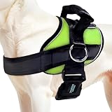 Joyride Harness 2.0 - The Original Side Ring No Pull Dog Harness - No Choke, Escape Proof, Reflective, 3 Leash Clips, Quick Fit Pet Vest - Easy Walks & Training - for Small, Medium & Large Dogs