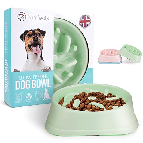 Purrfects - Slow Feeder Dog Bowl (Mint Green) - Anti Choke, Anti Bloat - Slow feeder dog bowl slow feeder dog feeders to slow feeding dog bowls
