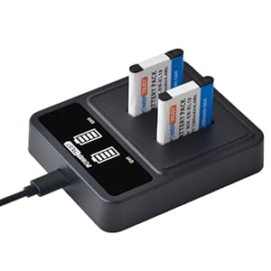 PowerTrust 2Pcs EN-EL19 Akku und Ladegerät für Nikon Coolpix S33 W150 A100 S6900 S3700 S2800 S2700 S3600 S6800 S6900 S4400 S6600 S3300 S6400 S4200 S4300