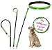 Leisegrün Joggingleine für große Hunde | Freihandleine zum Joggen mit Bauchgurt und Ruckdämpfer | Länge 125 cm bis 175 cm | Farbe: Grün