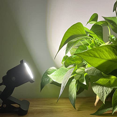 Taysing Led Spot Lights Outdoor Waterproof Clamp Lights Landscape Lights Spotlight With Clip For Accent Lighting Plants Yard Garden Decorative Lamp Shop Billboard (Cold White 6000K) #TOP6