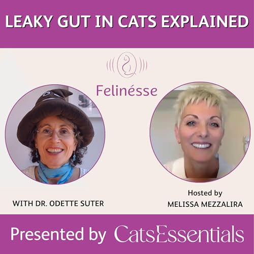 Leaky Gut in Cats Explained | Felin&eacute;sse Podcast | CatsEssentials