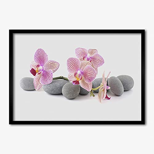 Affiche encadrée 70x50 cm plante et pierres d'arbres cadre MDF Tulup