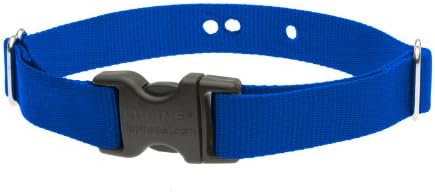 LupinePet Basics 1" Blue 19-31" Containment Collar Strap for Large Dogs