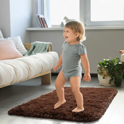 HOMORE Small Rugs for Bedroom 2x3 Feet Brown Rug for Bedroom Bedside Soft Fluffy Area Rugs for Desk Indoor Entrance Door Mat, Small Runner Rugs and Carpets for Dorm Nursery