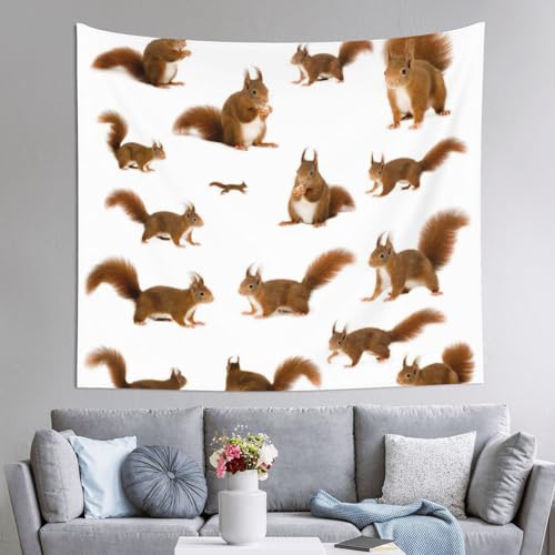 Tapisserie écureuil mignon JEJEA 152x130 cm pour décoration murale de chambre