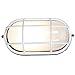 Nauticus - Wet Location LED Bulkhead - White Finish - Frosted Glass Shade