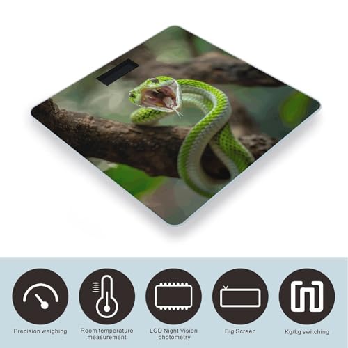Báscula digital con vidrio templado y pantalla LCD miniatura 3