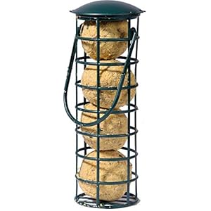 dobar 24081 Vogelvoederdispenser inclusief vier mezenbollen, navulbaar voederstation voor wilde vogels, zwart, plastic, per stuk verpakt (1 x 370 g)
