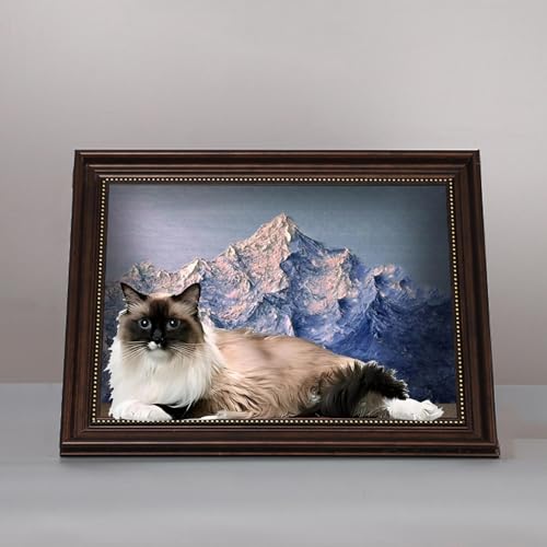 3 DGLAA[gObv{[hAlGLLLILxbh,Brown-Snowymountain
