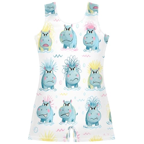 JULYTO Girls Gymnastics Leotard with Shorts, Hippo Hair, 2Y