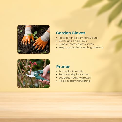 Image of Zamia Gardening Tools Kit, Set of 5, Pruner, Gloves, Trowel & More