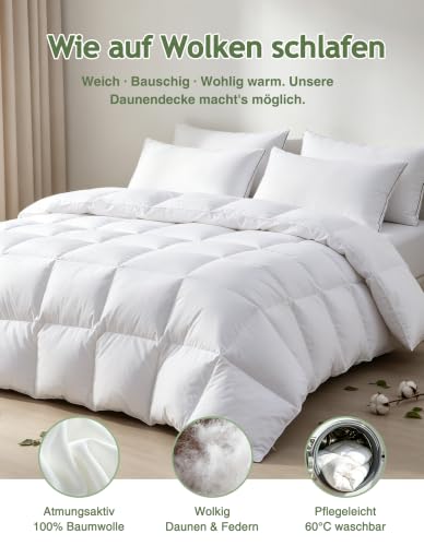 APSMILE Ganzjahres Daunendecke 220x240 cm | Federn & Daunen 450gsm | Extra Flauschig – Ansicht 2