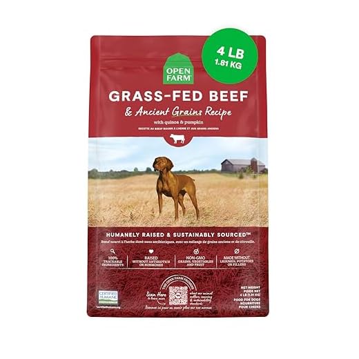 Open Farm, Ancient Grains Dry Dog Food, Protein-Rich & Nutrient Dense, 90% Animal Protein Mixed with Non-GMO Fruits, Veggies and Superfoods, Grass-Fed Beef Recipe, 4lb Bag