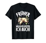 Früher War Alles Leichter Ich Auch Faultier Humor Spruch T-Shirt