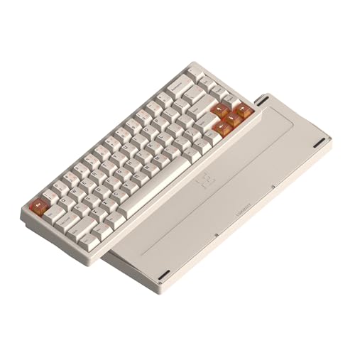 LUMINKEY Magger68 HE �A���~�j�E���Q�[�~���O�L�[�{�[�h ? 68�L�[�R���p�N�g���C�A�E�g�A�J�X�^���}�O�l�b�g�X�C�b�`�ARGB�o�b�N���C�g�A�L��USB-C�ڑ��A�Q�[�}�[&�v�������̑ϋv���̂��郁�^���r���h