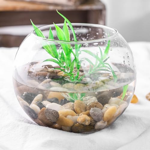 HAKACC 450g Flusskiesel，Kieselsteine Polierte zum Basteln Kleine Deko Steine für Vasen Pflanzen Garten Landschaftsbau Sukkulenten