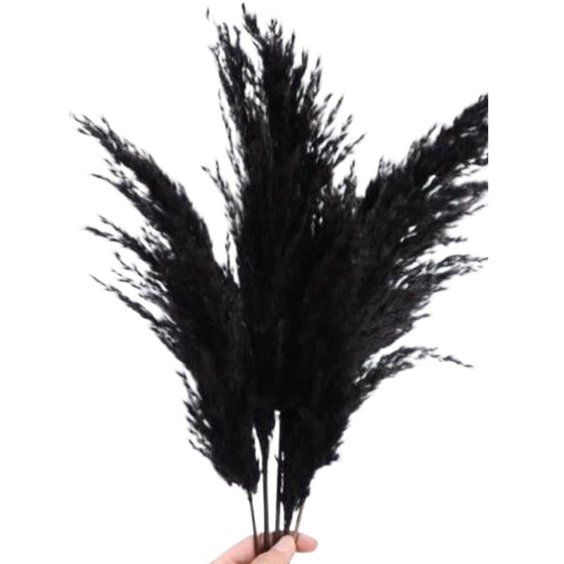 Hierba Pampas Grande 5 piezas Negra para decoración miniatura 1