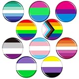 SEPGLITTER 20 épingles arc-en-ciel LGBT Pride Day, épingles de jour de fierté pour le mois de la fierté gay LGBT, accessoires décoratifs (10 styles)