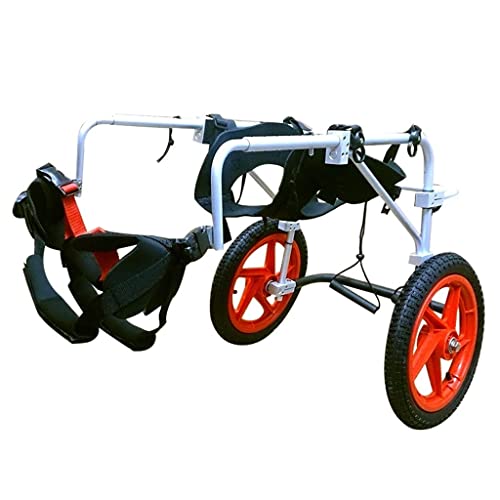 Fauteuil roulant pour chien pour de longues balades en forêt