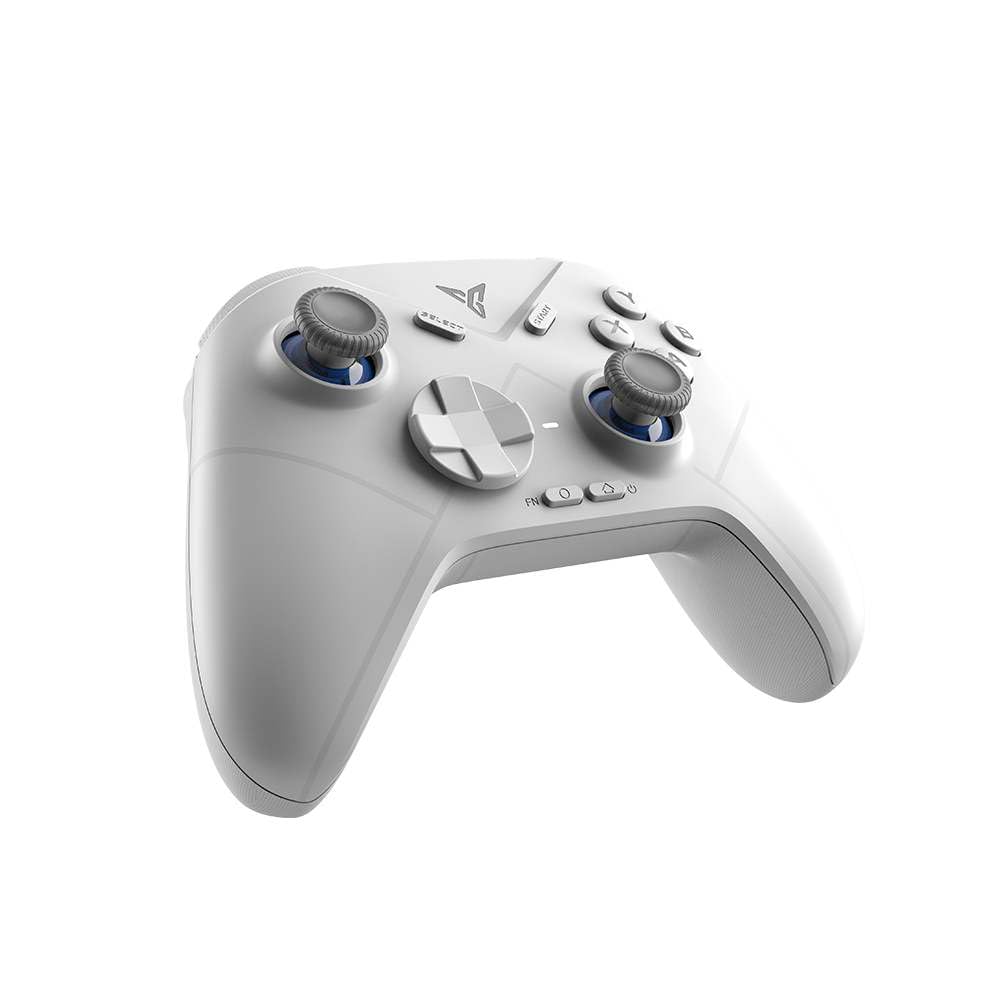Amazon.co.jp: FLYDIGI（フライディジ） ワイヤレス接続コントローラー
