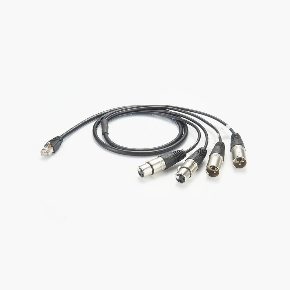 4 Channel Passive Balanced Audio Extender Over RJ45 Plug to 2 Female & 2 Male XLR 1Meter