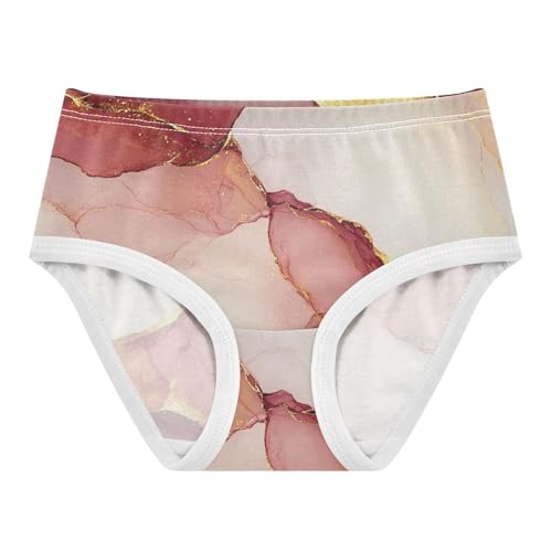 Hipster Panties Underwear Soft Touch Comfort Underwear for Toddler in Sizes 2T,3T, 4T, 5T, 6Y and 8Y