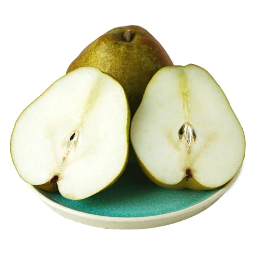 [先行予約]ラ・フランス ご家庭用 5kg 令和7年産 2025年産 西洋梨 山形県産 果物 ns-laxxw5