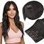 A-5-1 #1C-Blacknish Ash Brown
