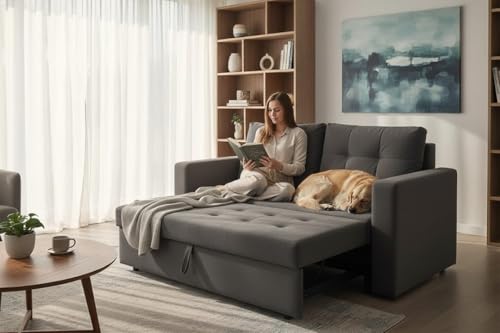 Image of FURNY Tressa 2 Seater Fabric Pull-Out Sofa Cum Bed (Dark Grey) - Premium Velvet Finish - Durable Comfort - Ideal for Living Room