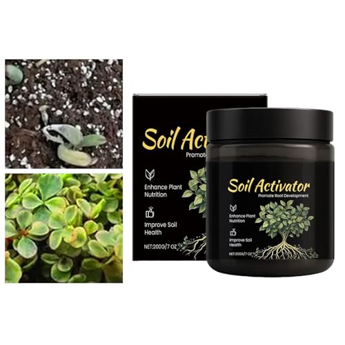 �y����Ǎ�,���̐������i - �A���p�y����Ǎ�,��E�_��E����E�o���R�j�[�E�e���X�E�Ő��E�K�[�f���p