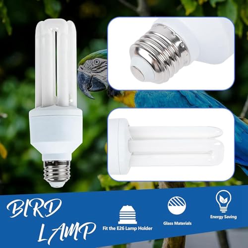 Ampoule UVA/UVB pour oiseaux 20W 2.4V avec lampe fluorescente compacte pour la captivité type A - 4