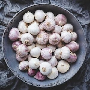 Golden Pulses® Desi One Clove Solo Garlic Single Pothi Lahsun Garlic Bulb 400 Gm (Not Hybrid)