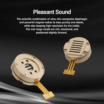 SIVGA Nightingale 14.5mm Planar Magnetic Driver Wired Hi-Fi in-Ear Monitor Earphones
