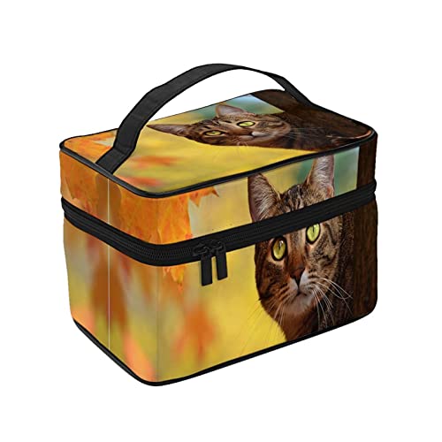 σ|[` CN|[` F̗t ` H̔L RX[ ֌g σobO ϔ vp σP[X ^ CN{bNX e ϕi[obO ʗp s op y  ϓ Jo[t̃t@Xi[