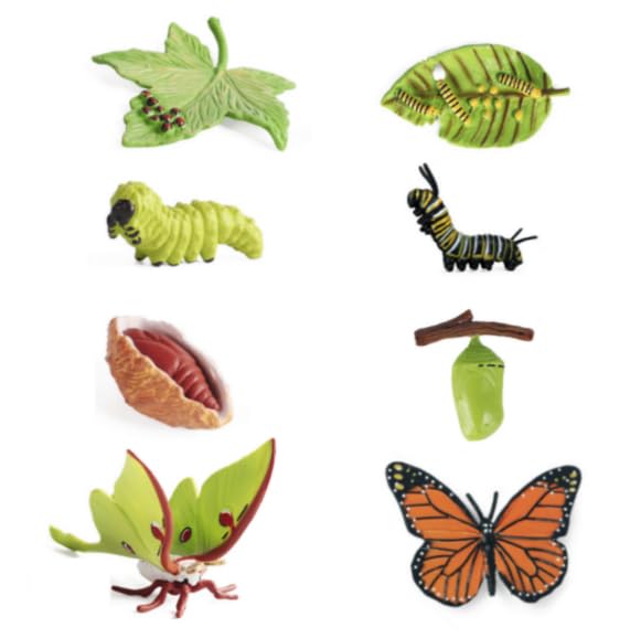 Alwodici 8Pcs Butterfly Kits With Caterpillars Realistic Butterfly Luna Moth Life Cycle Figures Plastic Butterflies Growth Stage Models For Biology Teaching Educational Science Party Favours Learning